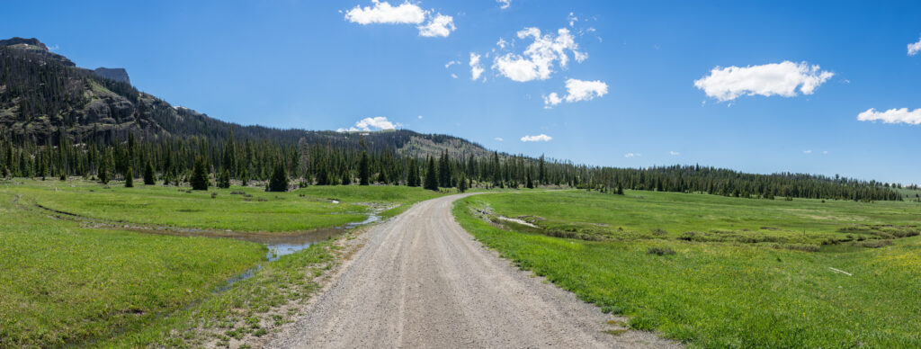 A gravel road bending through a green mountain meadow